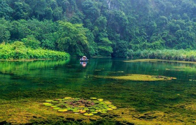 khu sinh thai dam van long