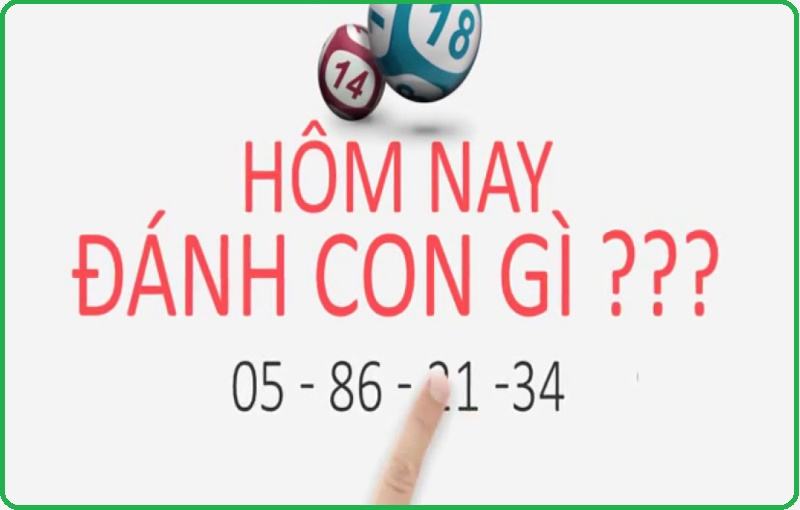 Hôm Nay Đánh Con Gì Hôm Nay Đánh Con Gì Hôm nay đánh con gì?
